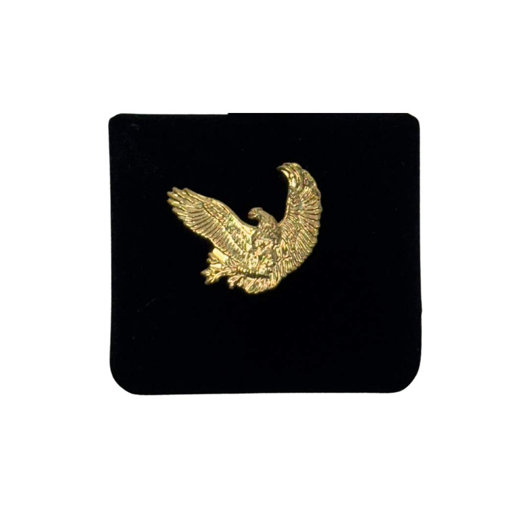 Aviation Inspired Eagle Lapel Pin