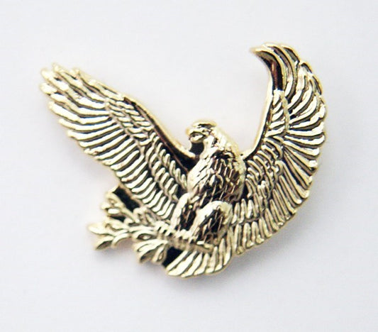 Aviation Inspired Eagle Lapel Pin