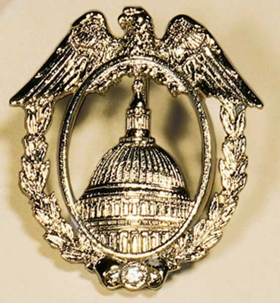 Capitol Eagle Brooch